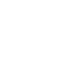 Legal compliance Icon